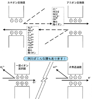 イオン交換膜