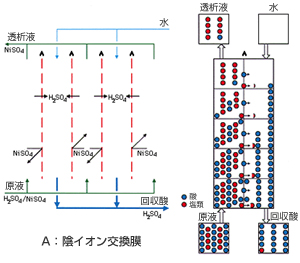拡散透析の原理