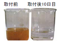 赤水解消例