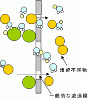 浄水中